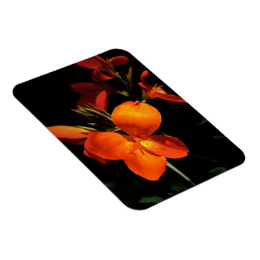 Dazzling Orchid Foto Magnet (Rechte Seite)