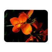 Dazzling Orchid Foto Magnet (Horizontal)