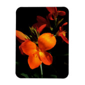 Dazzling Orchid Foto Magnet (Vertikal)