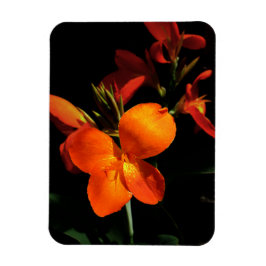Dazzling Orchid Foto Magnet