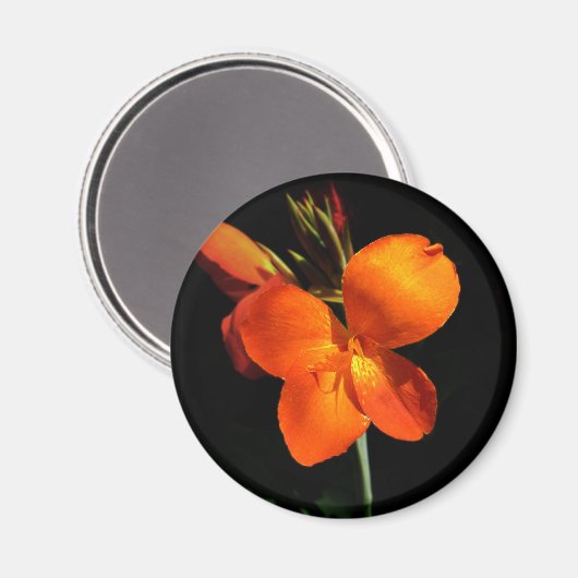 Dazzling Orchid Magnet (Vorderseite/Rückseite)