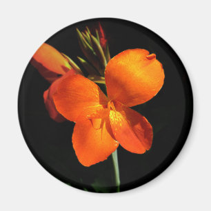 Dazzling Orchid Magnet