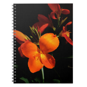 Dazzling Orchid-Notebook Notizblock