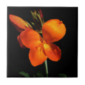 Dazzling Orchid Tile Fliese (Vorderseite)