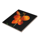 Dazzling Orchid Tile Fliese (Seite)