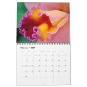 Dazzling Orchids Kalender (Feb 2027)