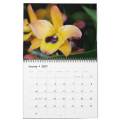 Dazzling Orchids Kalender (Jan 2027)