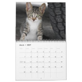 Dazzling Orchids Kalender (Mär 2027)