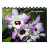 Dazzling Orchids Kalender (Titelbild)