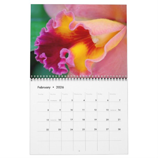 Dazzling Orchids Kalender (Feb 2026)