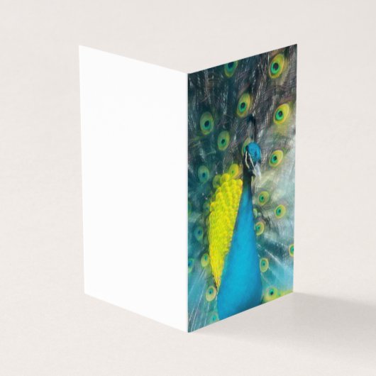 Dazzling Peacock - Blankomarke Set (Vorderseite)