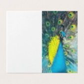 Dazzling Peacock - Blankomarke Set (Außenseite Aufgefaltet)