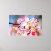 Dazzling Sakura Blume. Beige und blaue Hintergrund Leinwanddruck (Vorderseite)
