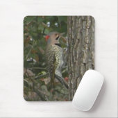 DC, Aufflackern-Specht-Vogel Mousepad (Mit Mouse)