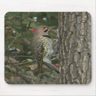 DC, Aufflackern-Specht-Vogel Mousepad