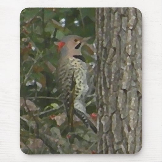 DC, Aufflackern-Specht-Vogel Mousepad (Vorne)