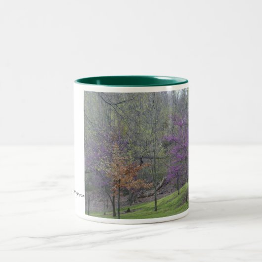 DC-Baum-Tasse Zweifarbige Tasse (Mittel)