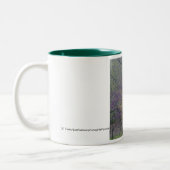 DC-Baum-Tasse Zweifarbige Tasse (Links)