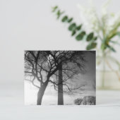 DC Creepy Postkarte (Stehend Vorderseite)