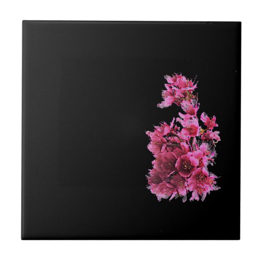 DC Kirschblüten Fliese (Vorderseite)