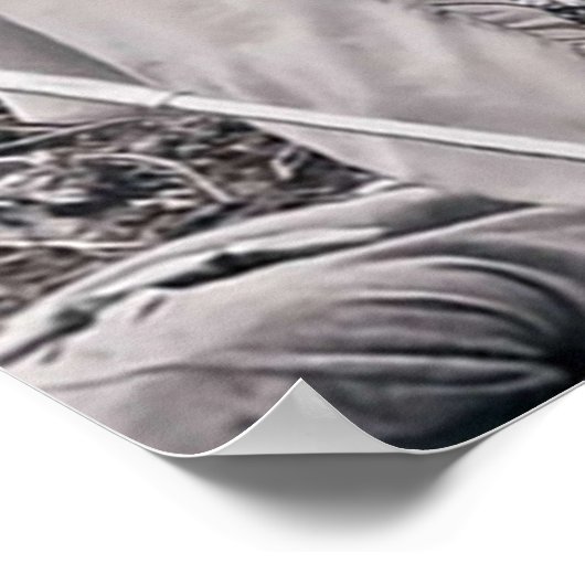 DC Legende von morgen weiße Kanareninchen Poster (Ecke)