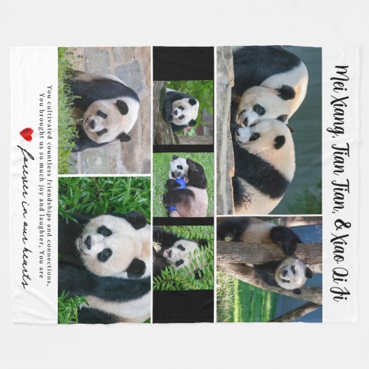 DC Riesenpandas "In unserem Herzen" Blanket Fleecedecke (Vorderseite (Horizontal))