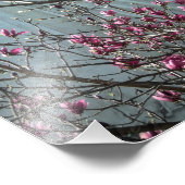 DC Tempel in rosa Blume Fotodruck (Ecke)