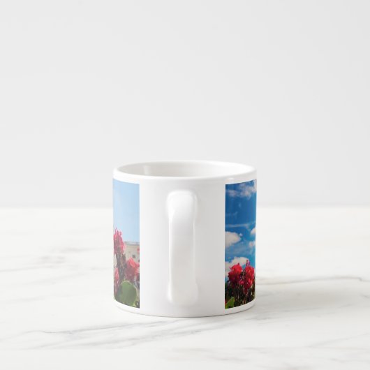 DC USA-, Washington, Hauptstadts-Gebäude Espressotasse (Rückseite)