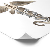 DDS Caduceus Poster (Ecke)