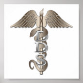 DDS Caduceus Poster (Vorne)