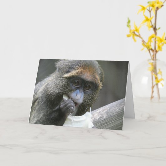 De brazza karte (Gelbe Blume)