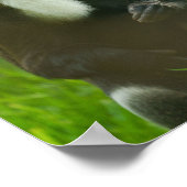 De Brazza Poster (Ecke)