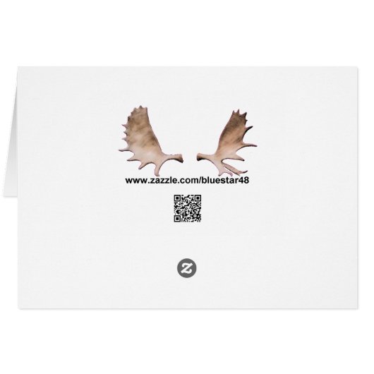 De Havilland Beaver Floatplane (Rückseite Horizontal)