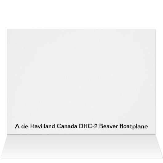 De Havilland Beaver Floatplane - Alaska (Innenansicht Horizontal (Oben))