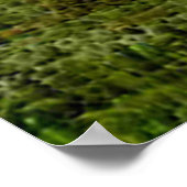 De Havilland Beaver Floatplane Poster (Ecke)