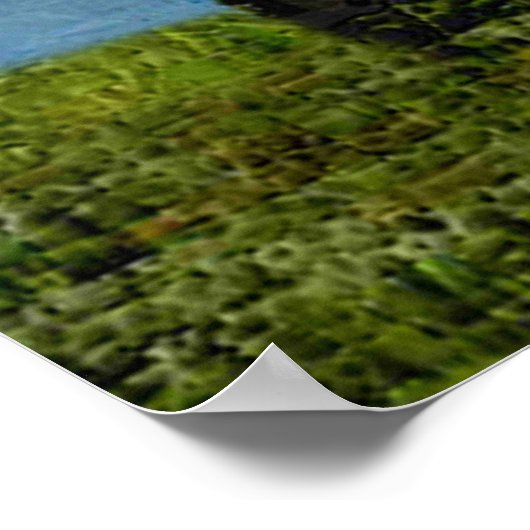 De Havilland Beaver Floatplane Poster (Ecke)