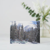 De Havilland Beaver Floatplane Postkarte (Stehend Vorderseite)