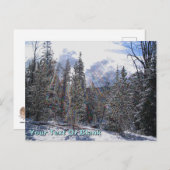 De Havilland Beaver Floatplane Postkarte (Vorne/Hinten)