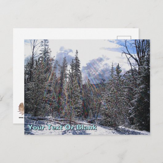 De Havilland Beaver Floatplane Postkarte (Vorne/Hinten)