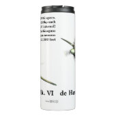 de Havilland Mosquito FB Mk. VI Thermosbecher (Rückseite)