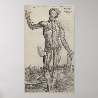 De Humani Corporis Poster