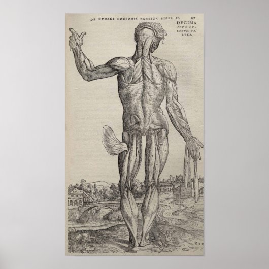 De Humani Corporis Poster (Vorne)