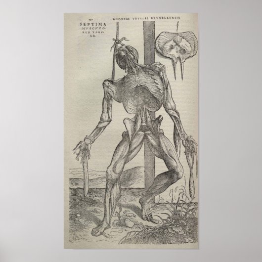 De Humani Corporis Poster (Vorne)