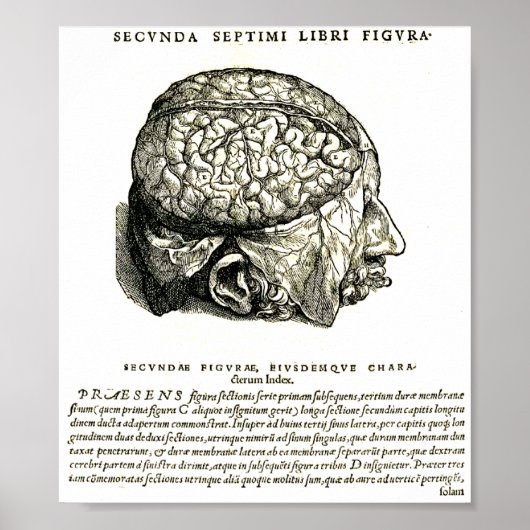 De Humani Corporis Poster (Vorne)