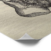 De Humani Corporis Poster (Ecke)