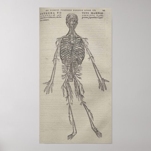 De Humani Corporis Poster (Vorne)