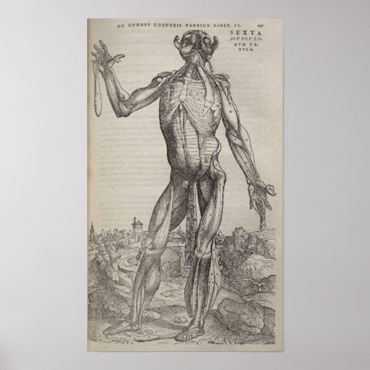 De Humani Corporis Poster (Vorne)