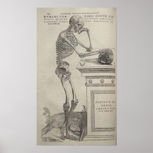 De Humani Corporis Poster (Vorne)