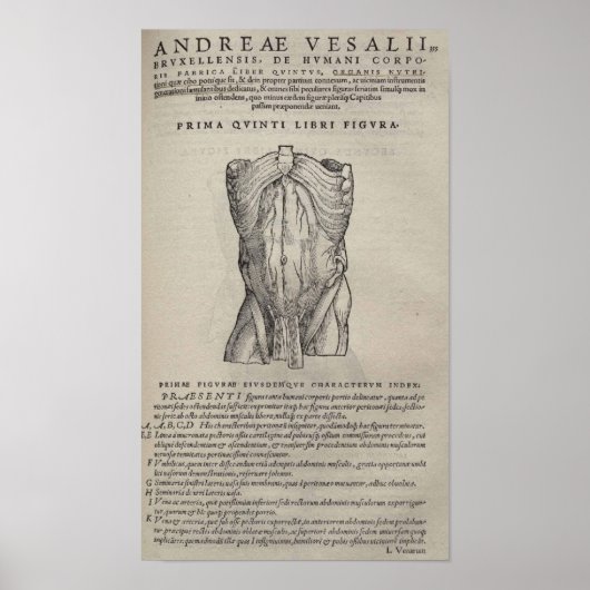 De Humani Corporis Poster (Vorne)