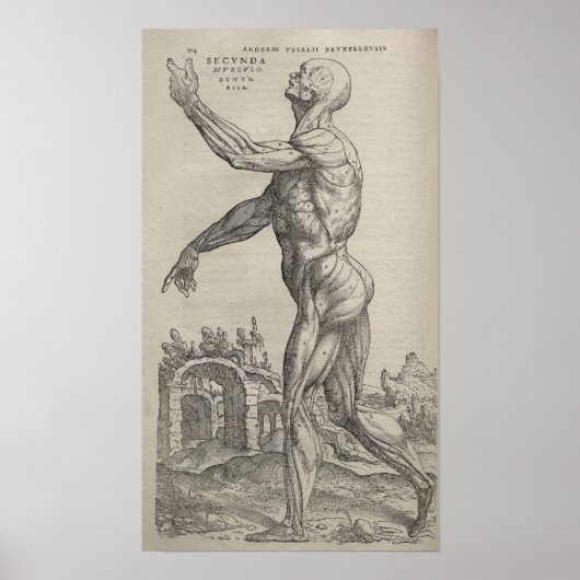 De Humani Corporis Poster (Vorne)